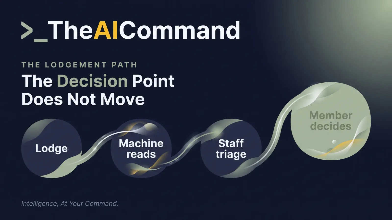 A four stage path from lodgement through machine reading and staff triage to a Member's decision