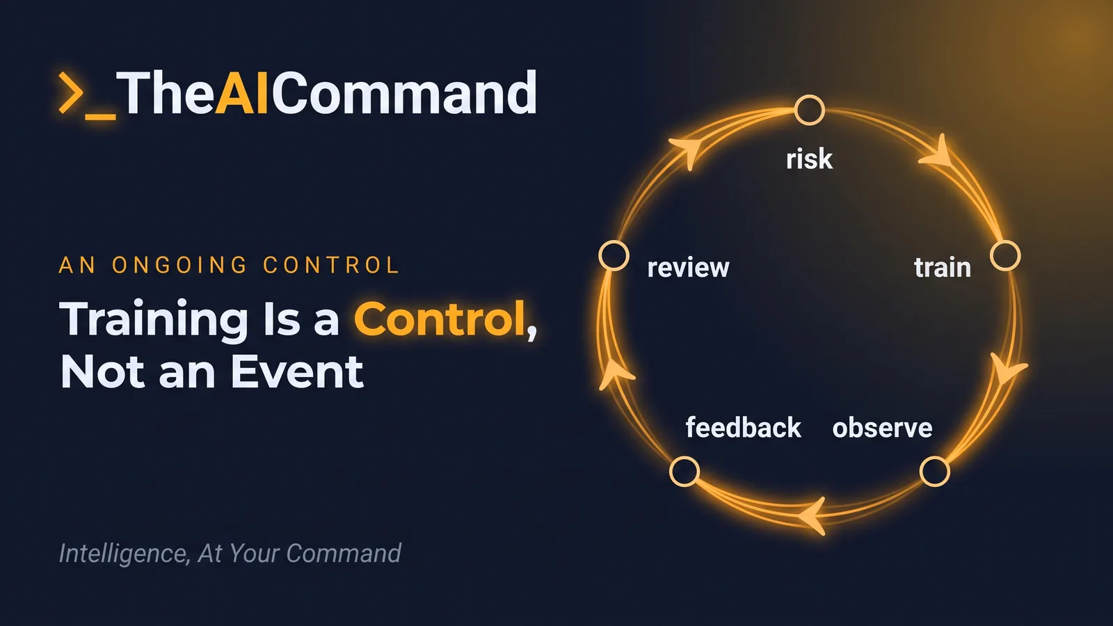 Feedback loop connecting risk, training, observation, feedback and review of the control