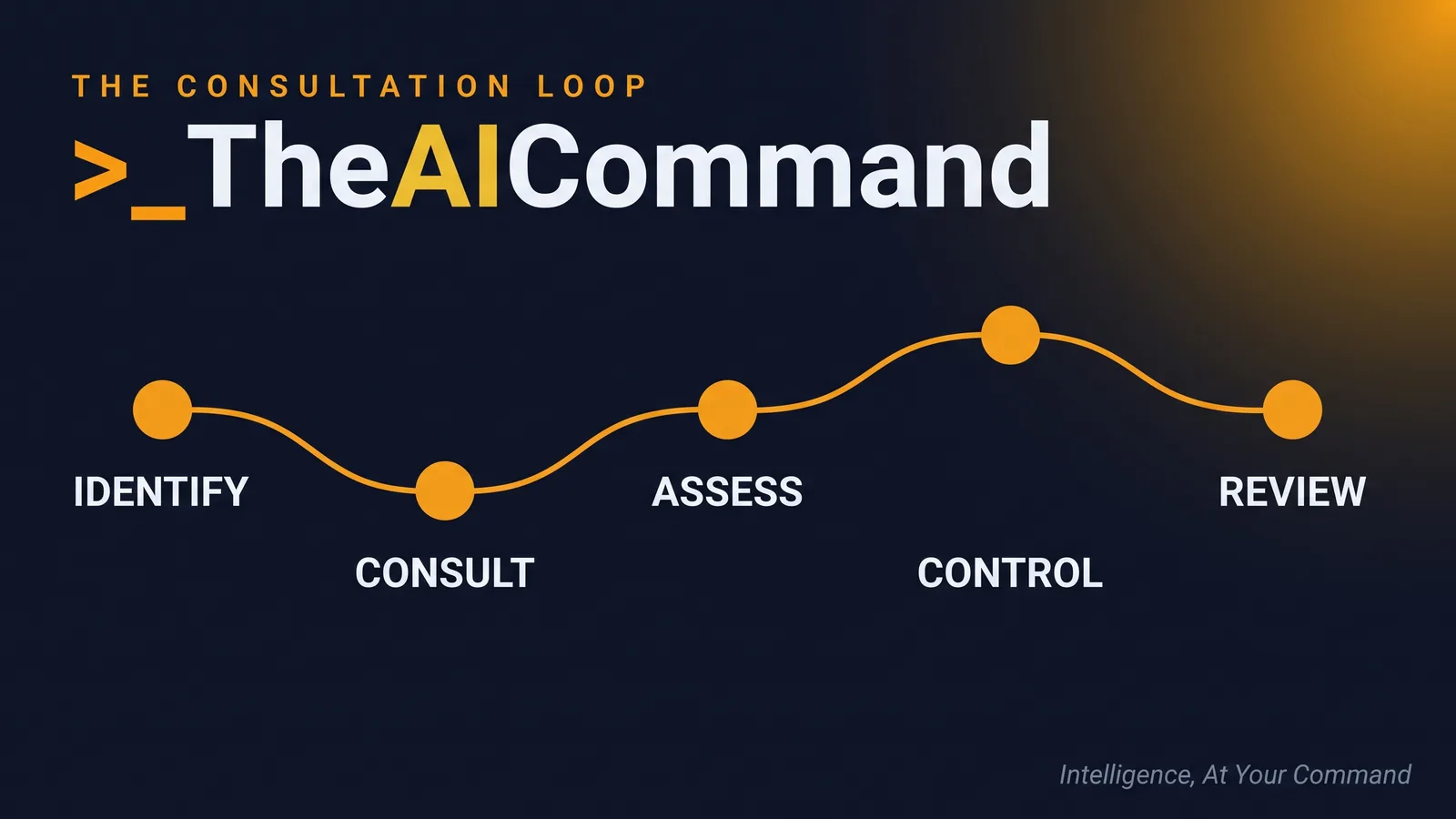 Left-to-right process flow with five amber nodes labelled identify, consult, assess, control, review on a deep navy background